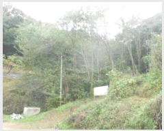  2024Ÿ119002 Ưġ Ǹ õ 141-7       ()