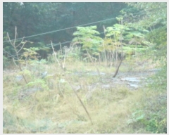  2024Ÿ119002 Ưġ Ǹ õ 141-7       ()