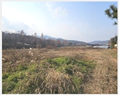  2024Ÿ��121500 ����Ư����ġ�� ��ġ���� �žȸ� 79-8       ����(��)���