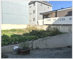  2024Ÿ121630    320-31       ()