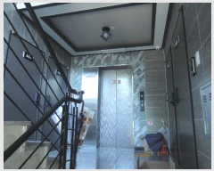  2024Ÿ��5172  �ٸ����ð��