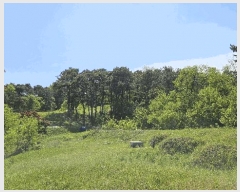  2024Ÿ7178 Ưġ  ָ 74-4       (Ӿ)