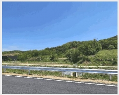  2024Ÿ7178 Ưġ  ָ 74-4       (Ӿ)