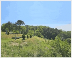  2024Ÿ7178 Ưġ  ָ 74-4       (Ӿ)