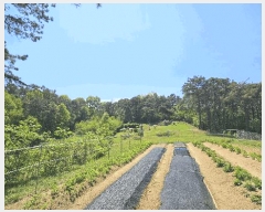  2024Ÿ7178 Ưġ  ָ 74-4       (Ӿ)