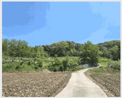  2024Ÿ7178 Ưġ  ָ 74-4       (Ӿ)