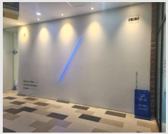  2024Ÿ��11337 ����Ư����ġ�� ���ŷ� 353, 2��2004-1ȣ (������,��������������)      ��,�繫�ǰ��