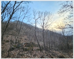  2024Ÿ��11375  �Ӿ߰��