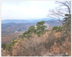  2024Ÿ��11375  �Ӿ߰��