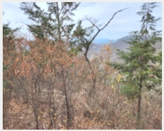  2024Ÿ��11375  �Ӿ߰��