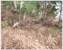  2024Ÿ��11375  �Ӿ߰��