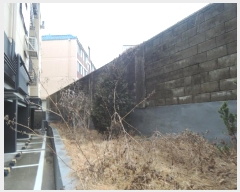  2024Ÿ102462  ߱ 赿 163-4       ܵ,ð