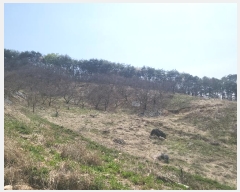  2024Ÿ��105522 ����Ư����ġ�� �屺�� ������ 170-8       ����(��1)���