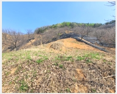  2024Ÿ��105522 ����Ư����ġ�� �屺�� ������ 170-8       ����(��1)���