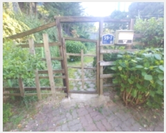  2024Ÿ111312  ߱  78       ()