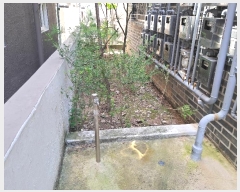  2024Ÿ115147   ε 360-13       ٰð