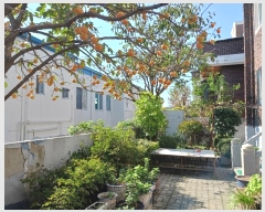  2024Ÿ��120200  ���ð��