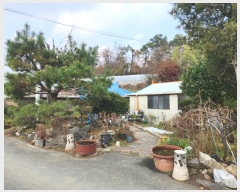  2024Ÿ122411 Ưġ ΰ 긮 316       ()