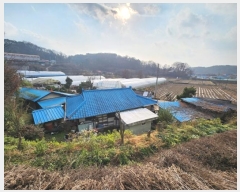  2024Ÿ122411 Ưġ ΰ 긮 316       ()