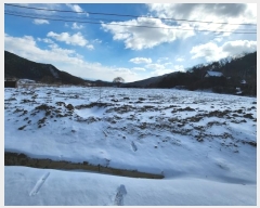  2024Ÿ��88 �泲 ���걺 ����� �󰡸� 372      ����(��)���