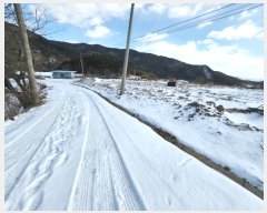  2024Ÿ��88 �泲 ���걺 ����� �󰡸� 372      ����(��)���