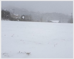  2024Ÿ��88 �泲 ���걺 ����� �󰡸� 372      ����(��)���