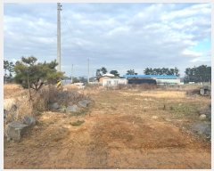  2024Ÿ��3971  �Ӿ߰��