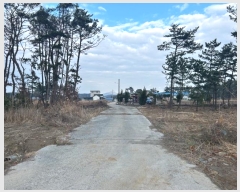  2024Ÿ��3971  �Ӿ߰��