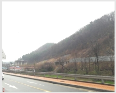  2024Ÿ��16465 �泲 ���걺 ������ ��ȸ�� 248-2      ����(�Ӿ�)���