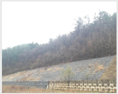  2024Ÿ��16465 �泲 ���걺 ������ ��ȸ�� 248-2      ����(�Ӿ�)���