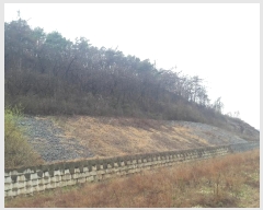  2024Ÿ��16465 �泲 ���걺 ������ ��ȸ�� 248-2      ����(�Ӿ�)���