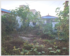  2024Ÿ��21009  ���ð��