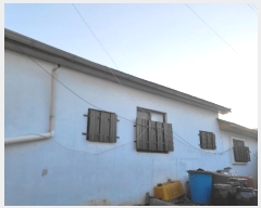  2024Ÿ��21009  ���ð��