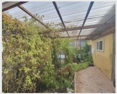  2024Ÿ��21054  �������