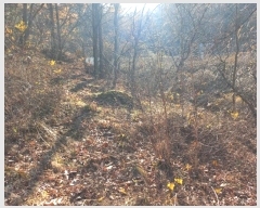  2024Ÿ��21696 �泲 ���걺 �ž�� ����� 823      ����(��)���