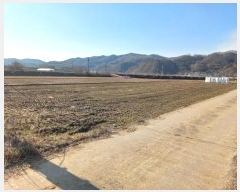  2024Ÿ��21696 �泲 ���걺 �ž�� ����� 823      ����(��)���