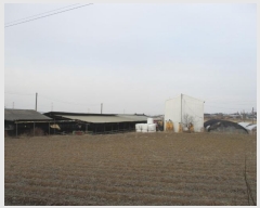  2024Ÿ21863 泲 걺  縷 40      ()