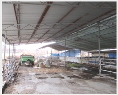  2024Ÿ21863 泲 걺  縷 40      ()