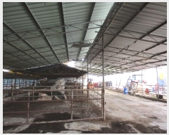  2024Ÿ21863 泲 걺  縷 40      ()