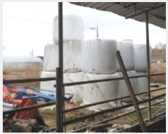  2024Ÿ21863 泲 걺  縷 40      ()