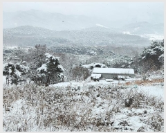  2024Ÿ��22286  �Ӿ߰��