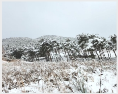  2024Ÿ��22286  �Ӿ߰��