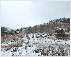  2024Ÿ��22286  �Ӿ߰��