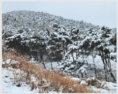  2024Ÿ��22286  �Ӿ߰��