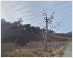  2024Ÿ��22286  �Ӿ߰��