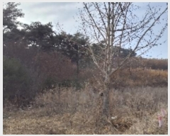  2024Ÿ��22286  �Ӿ߰��