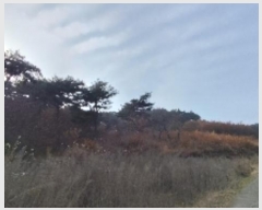  2024Ÿ��22286  �Ӿ߰��