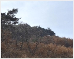  2024Ÿ��22286  �Ӿ߰��