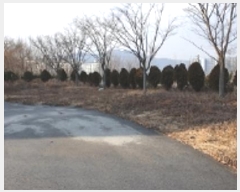  2024Ÿ3322 泲 ȫ ȫ ϸ 1-4      ڽü