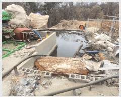  2024Ÿ��3858  ���(�󰡽ü�)���